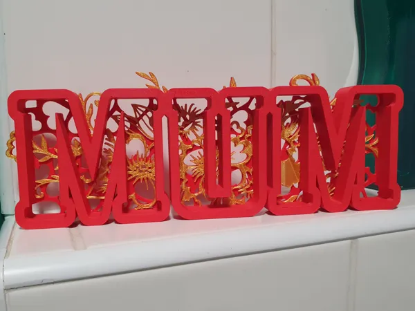 https://makerworld.bblmw.com/makerworld/model/US8d00368c096322/design/2025-02-20_a1eeb4c901e29.jpg