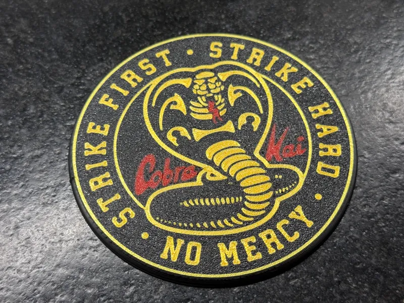 Cobra Kai coaster