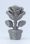 Rose cute