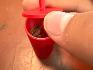 The not safe super safe cup safe