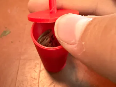 The not safe super safe cup safe