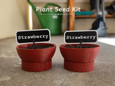 BONBON Plant Seed starter kit w/ Capsule Stand