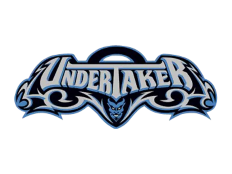 Undertaker WWE logo Key chain
