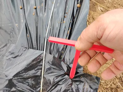 Tarp Stake