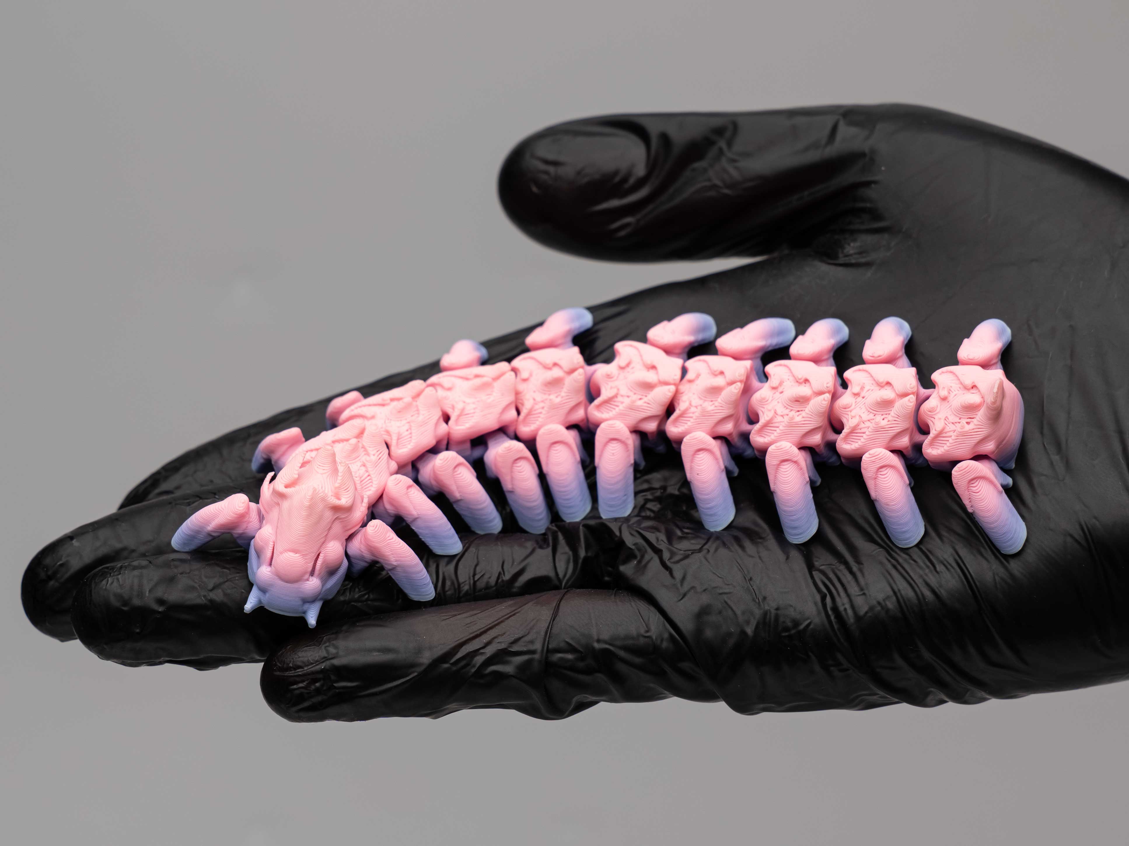 Miniatura 1 do modelo 3D Flexi Centipede