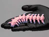 Centipede Print Profile Singlecolor