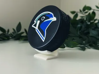 Minimal Hockey Puck Stand