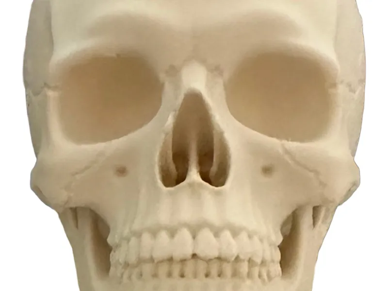 Skull Tea candle holder 