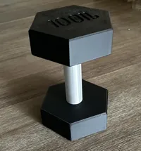 50kg version