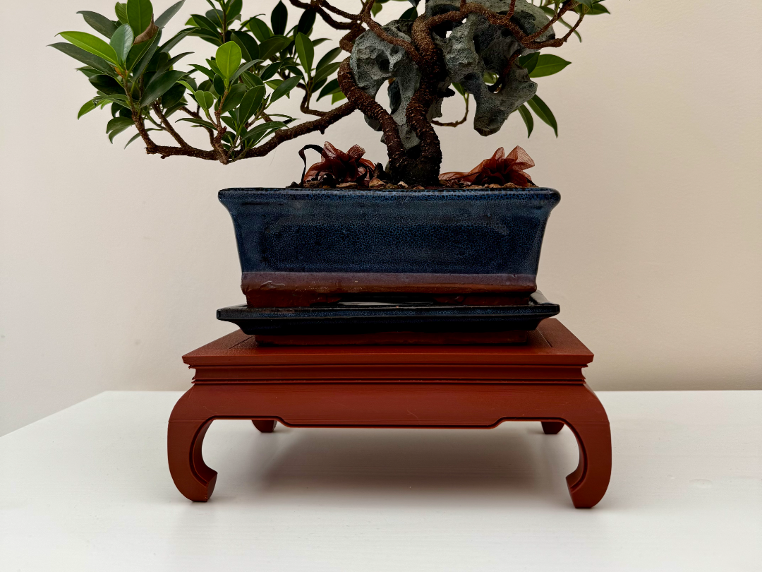 Japanese Style Bonsai Display Table