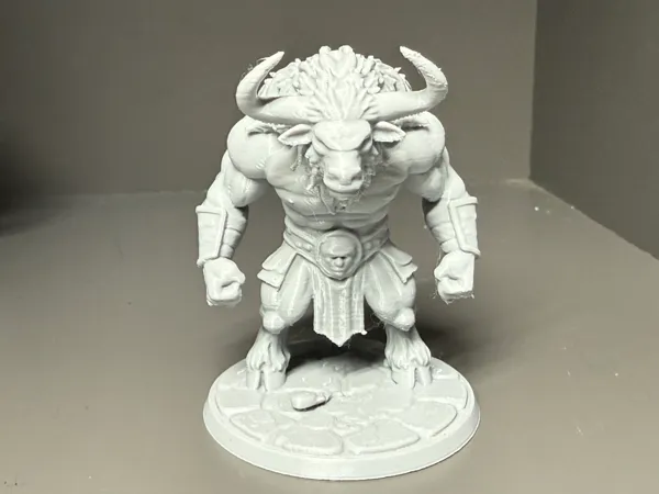 https://makerworld.bblmw.com/makerworld/model/US8d1f0ffaec74de/design/2025-05-16_9e31524ab4ebb8.jpeg