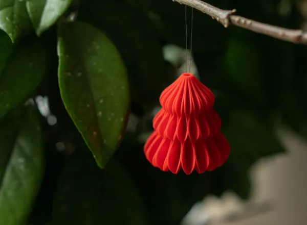 https://makerworld.bblmw.com/makerworld/model/US8d228e575af2e9/design/2024-11-29_95716639cf3ad.jpg