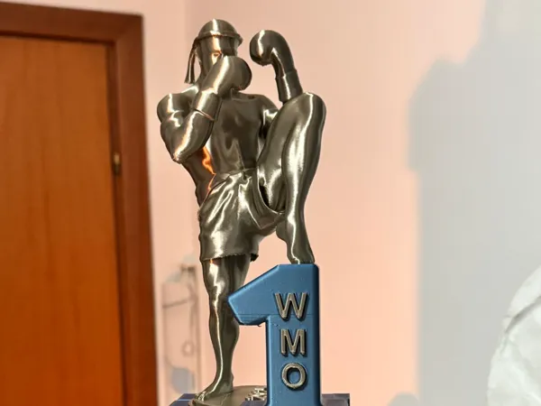 https://makerworld.bblmw.com/makerworld/model/US8d229b5e2b0713/design/2025-05-24_de7bb1844fa3a8.jpg