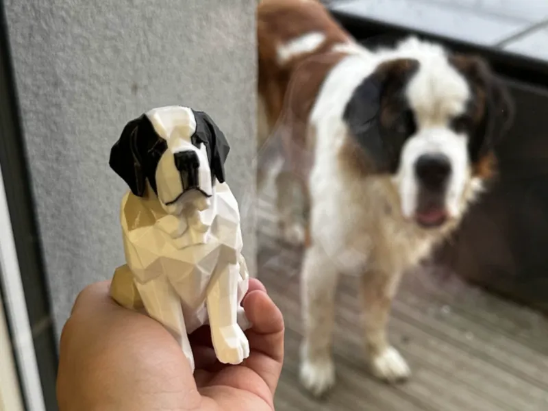 Saint Bernard Low Poly