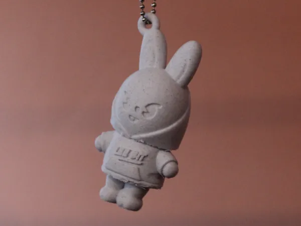 https://makerworld.bblmw.com/makerworld/model/US8d26922b3f1a3a/design/2026-01-07_73c1193e10bff.jpeg