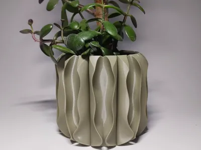 RIPLEAF plant