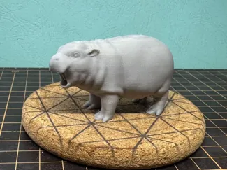 Moo Deng 弹跳猪
