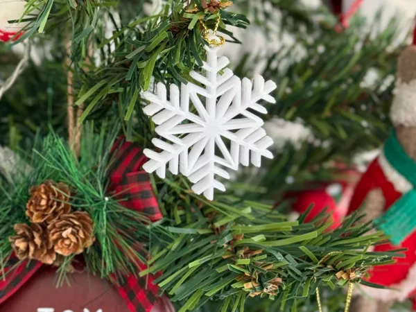 https://makerworld.bblmw.com/makerworld/model/US8d2b58efafbcf4/design/2025-11-23_aeaffae0cf1328.jpg