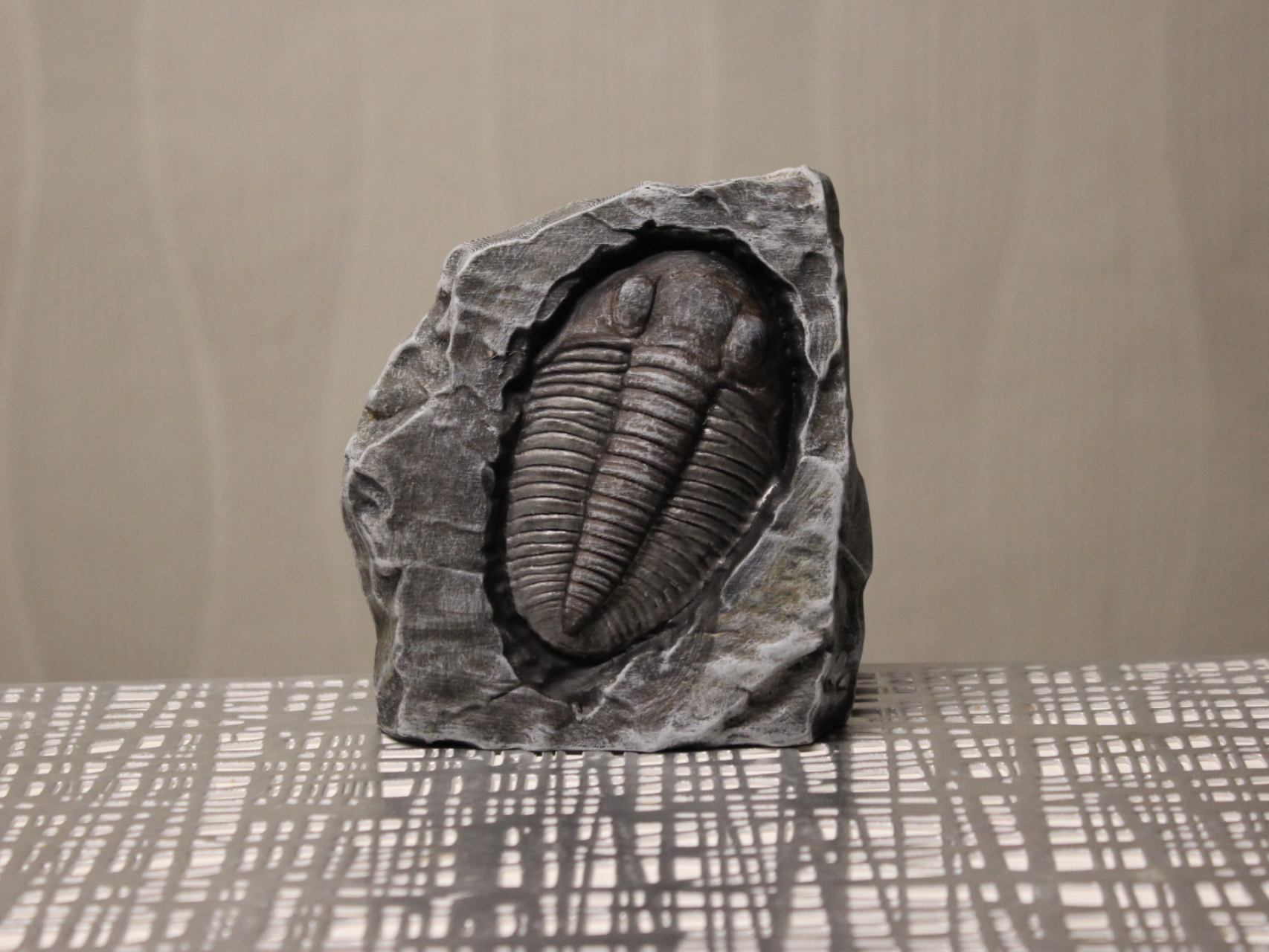 Versteinertes Fossil eines Tribolit 