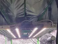 0.2mm layer, 5 walls, 15% infill
