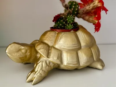 Decorative Turtle Planter