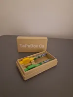 TePeBox for 3 brush with cap