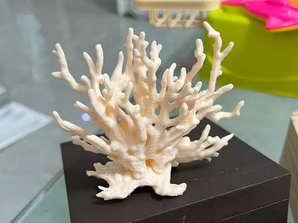 https://makerworld.bblmw.com/makerworld/model/US8d39565e9833fc/design/fe956e7b2ef05080.jpg