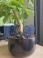 Short stake verison - all 4 on one plate