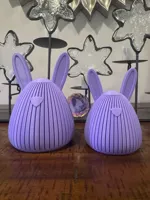 0.2mm layer, 2 walls, 5% infill