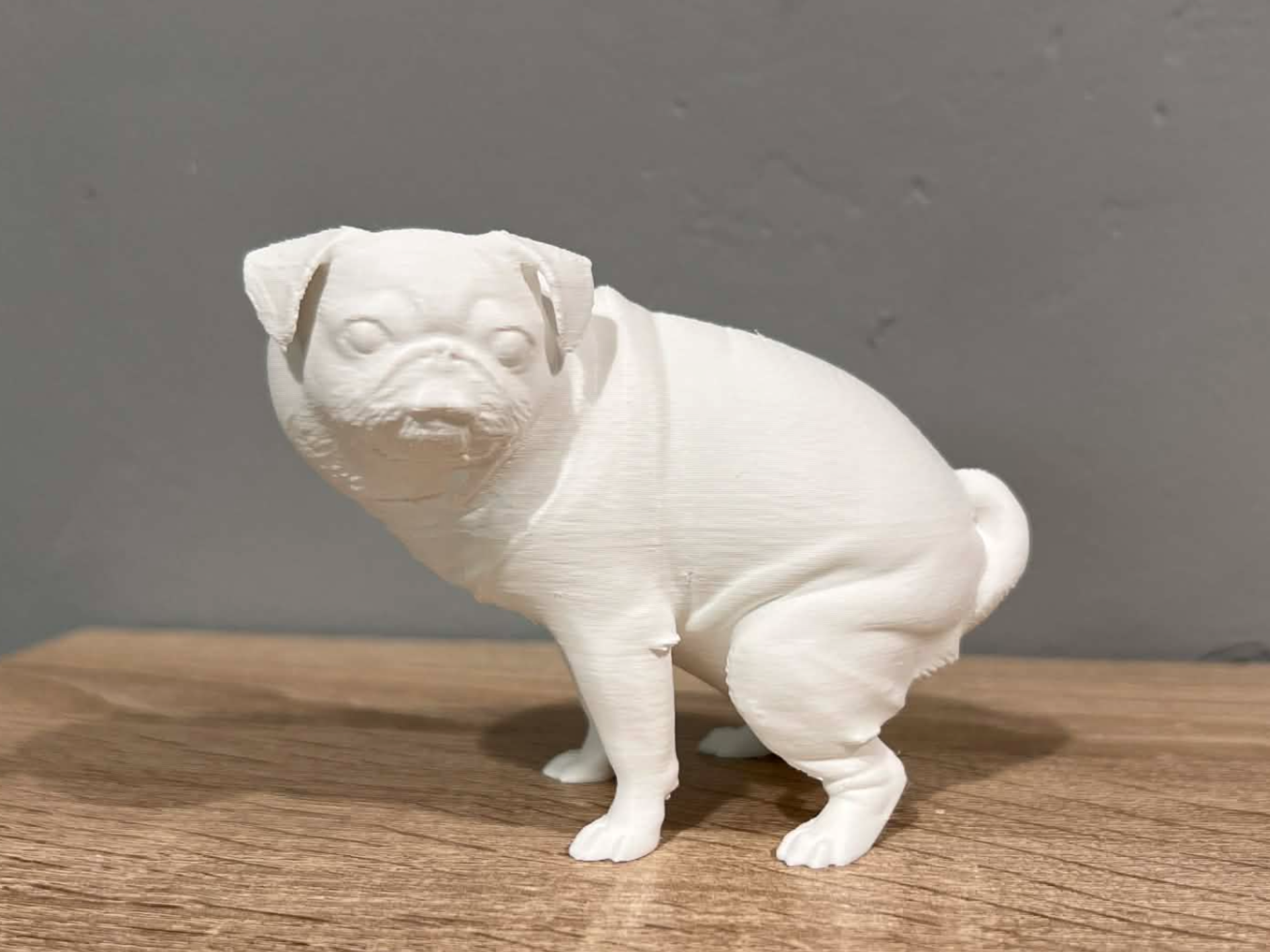 Pooping Pug Dog - Mops - Animal - Dog