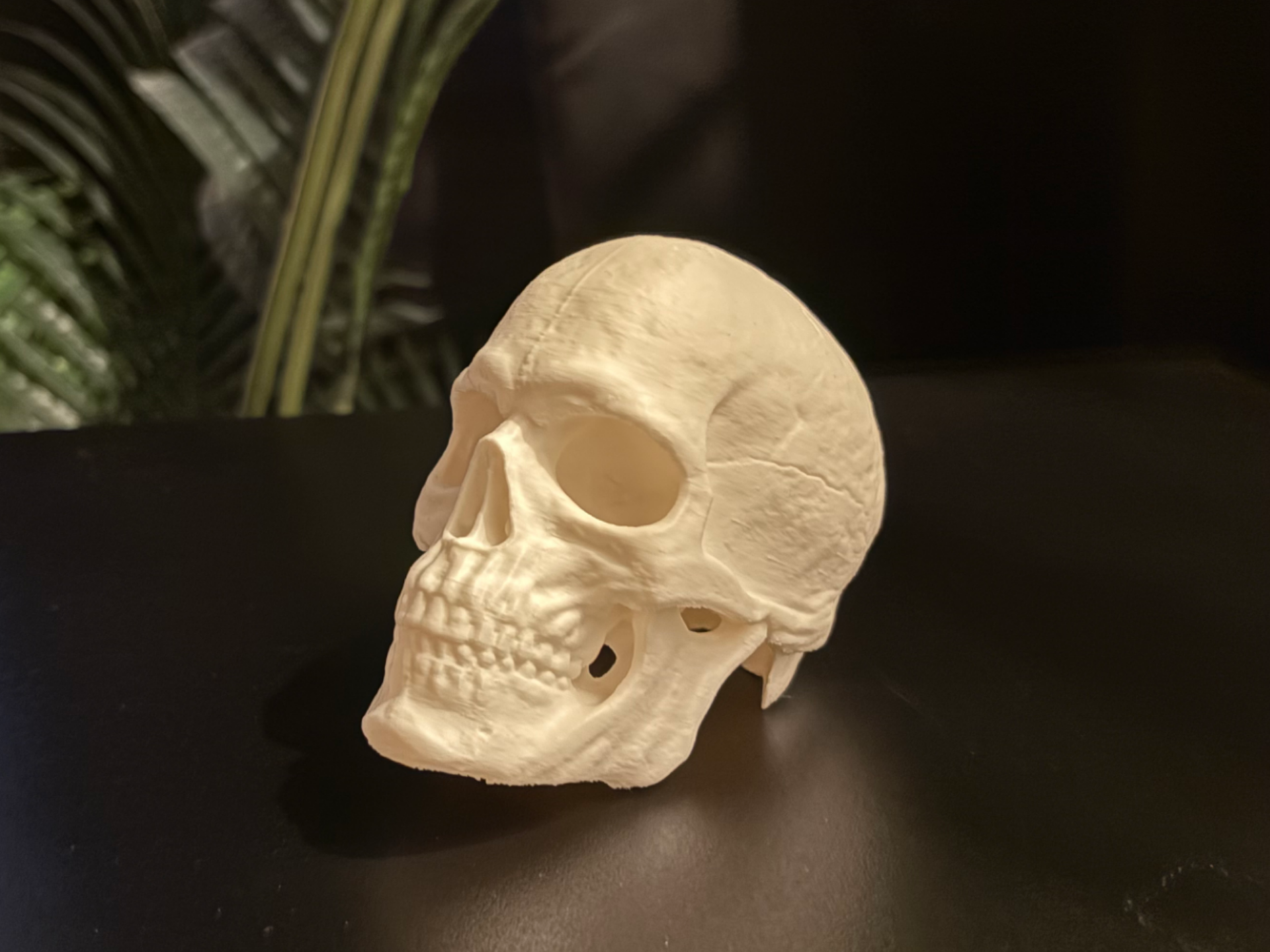 Totenkopf Anhängerkupplung