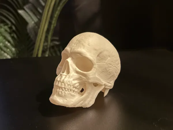 https://makerworld.bblmw.com/makerworld/model/US8d4326386f07ac/design/b2f8435c3e5905d3.jpg