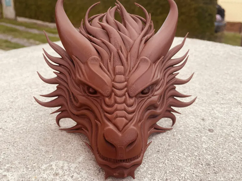 Dragon head