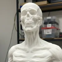 Perfect Print (0.12mm 3 walls)