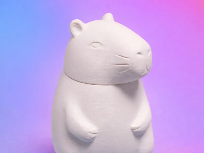 Cute Capybara Jar 