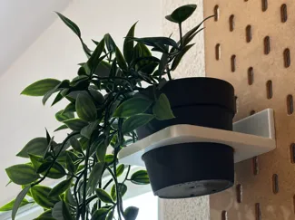 FEJKA Skadis Mount - Pflanzenhalterung IKEA Skadis