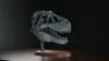 A1 mini 30% size 0.16mm layer, 2 walls, 15% infill