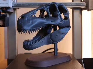 Realistic T rex Skull - Articulated Jaw