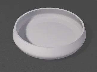 Snack Dish