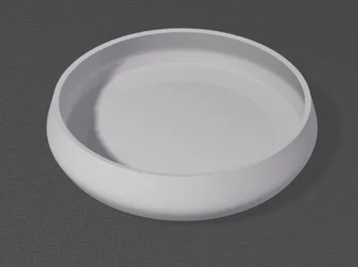 Snack Dish