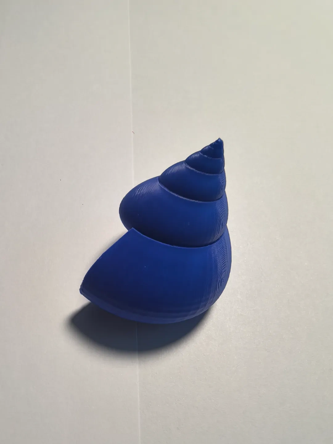 Miniatura 4 do modelo 3D 五颜六色的贝壳系列之二