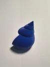 Oxystele Painted Top Shell