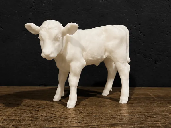 https://makerworld.bblmw.com/makerworld/model/US8d55133327649c/design/52cbaf25e8bb7d53.png