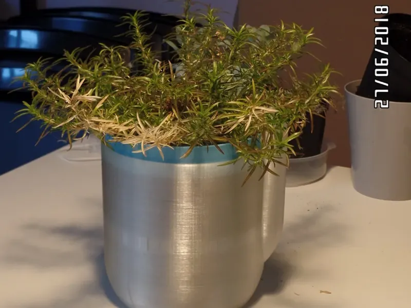 Self Watering Planter