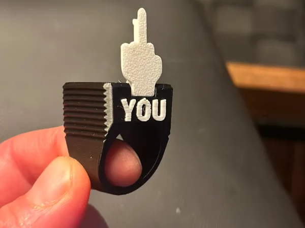 https://makerworld.bblmw.com/makerworld/model/US8d5dc7a8fc56e4/design/2025-01-06_b9eddbd868cb5.png