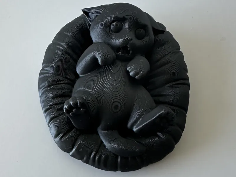 Scared Cat On A Cushion