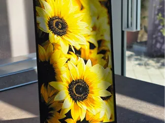 Girasoli in Fiore - Quadro 3D HueForge Style