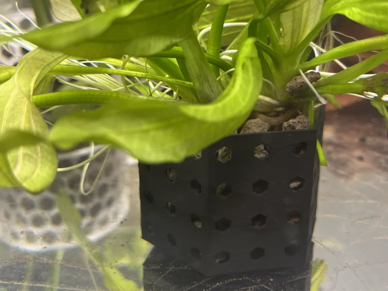 Hex aquarium plant pot