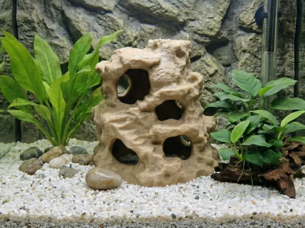 https://makerworld.bblmw.com/makerworld/model/US8d68bb7c2ca20c/design/bfd7ab69d6338903.png