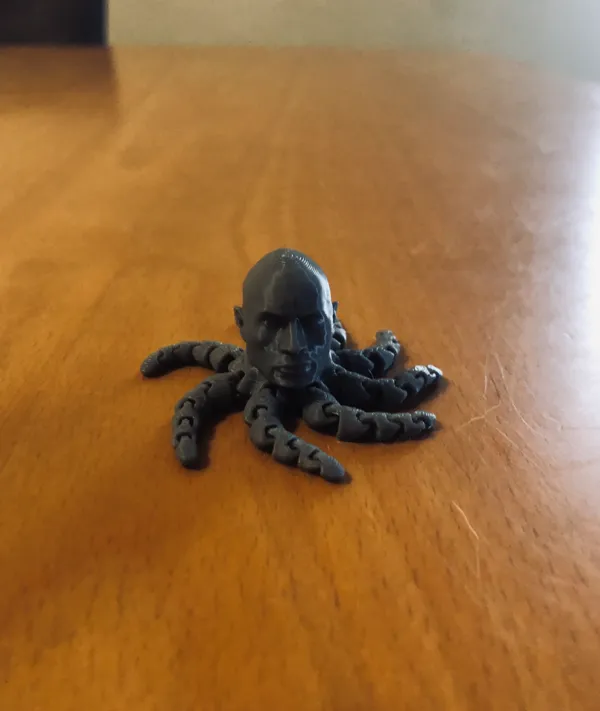 https://makerworld.bblmw.com/makerworld/model/US8d70d620169d62/design/2024-01-22_0fd7298ff6b39.jpg